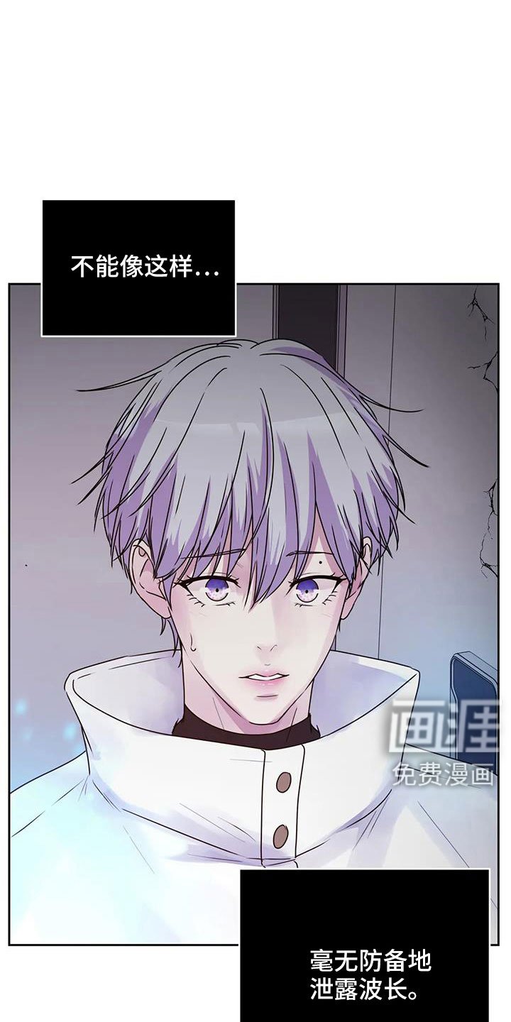 第43章：继续吧