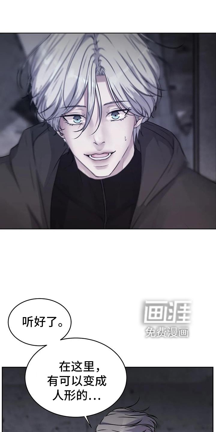 第50章：作用