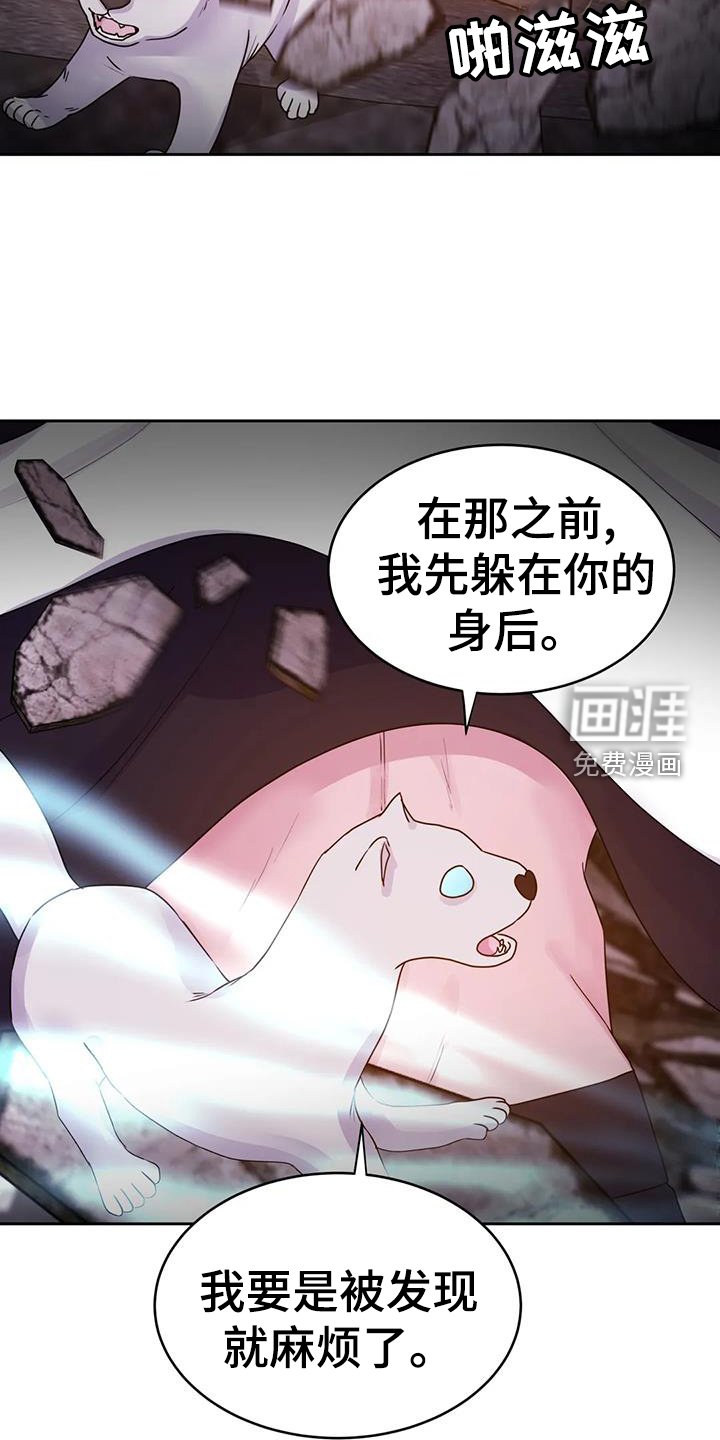 第58章：诱饵