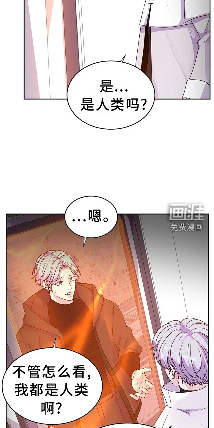 第61章：绝密
