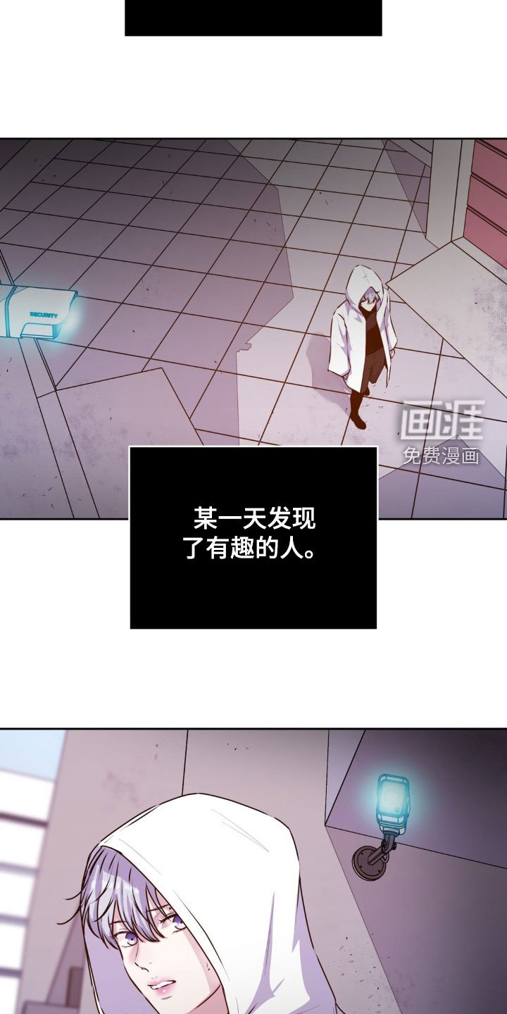 第72章：【番外】有趣的人
