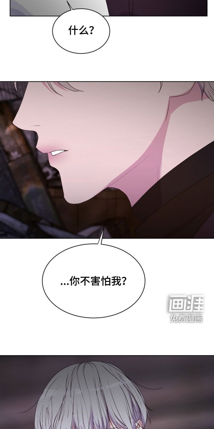 第88章：【第二季】我非常爱你
