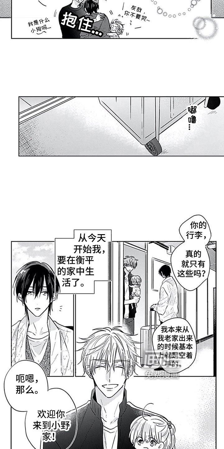 第14章：坦诚