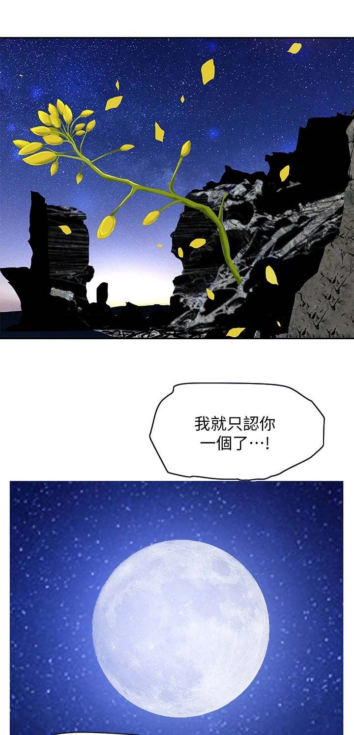 第2章：氛围所致