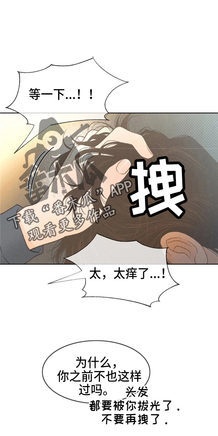 第41章：夸张