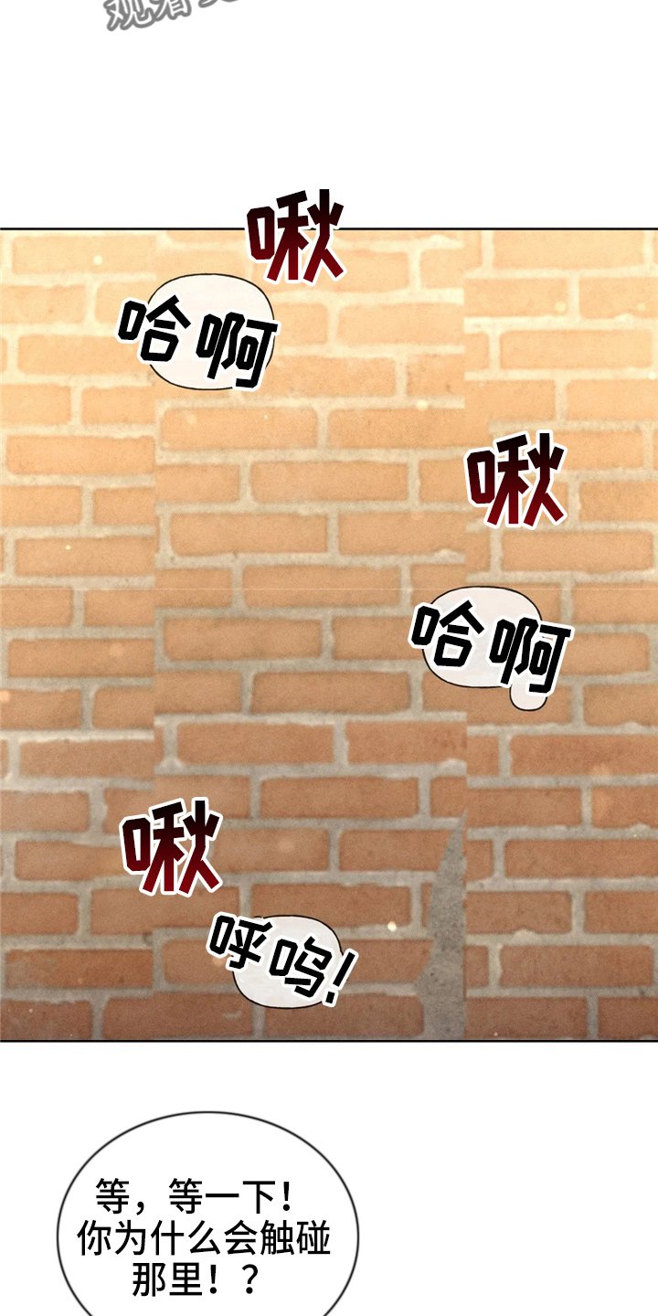 第41章：夸张