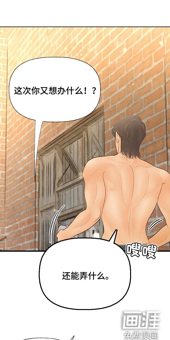 第42章：看来是喜欢