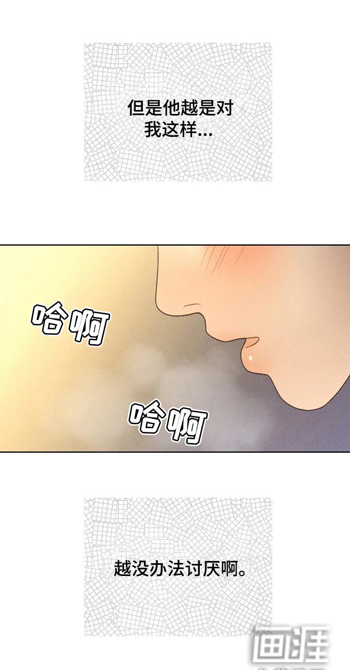 第42章：看来是喜欢