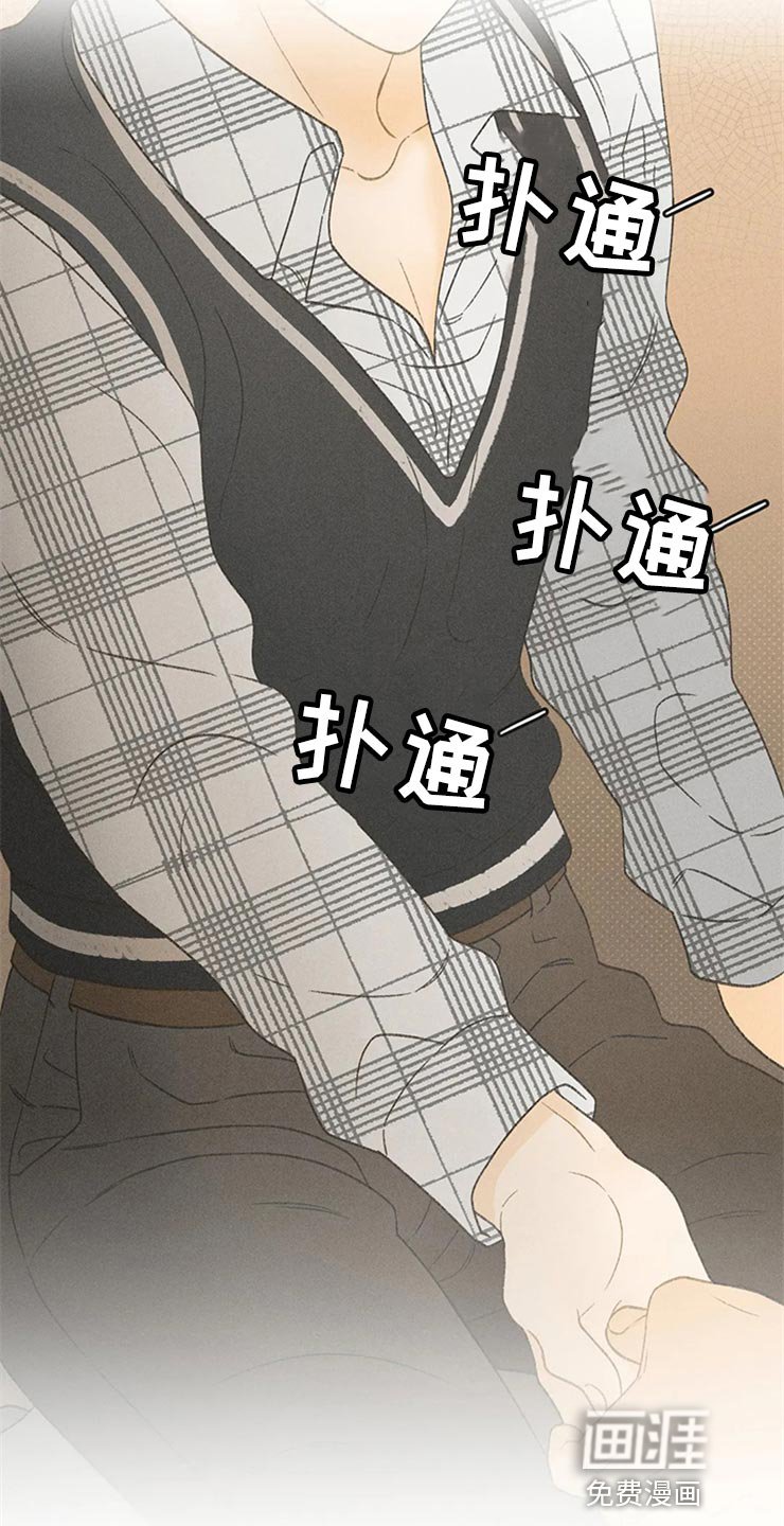 第45章：心动（第一季完结）