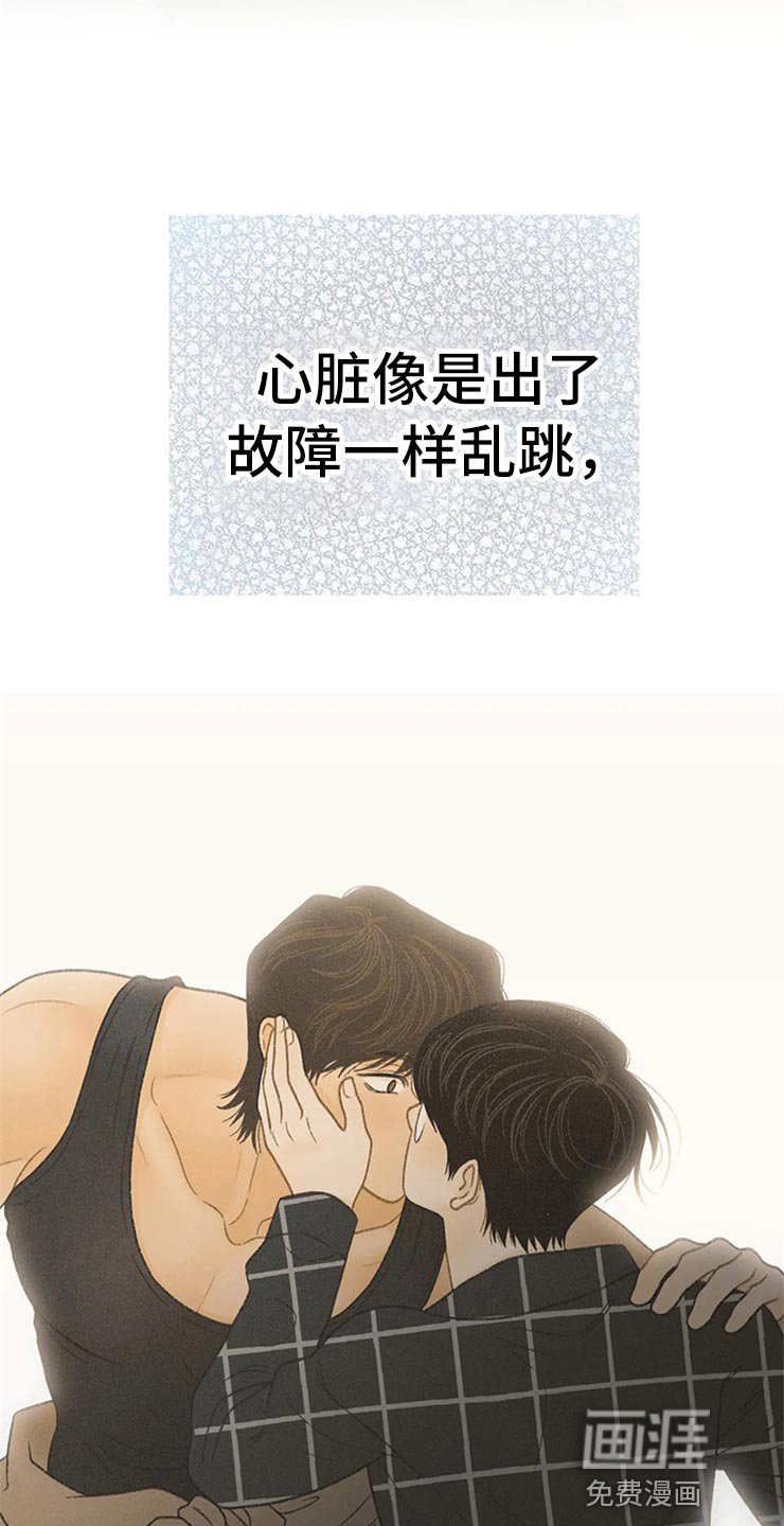 第45章：心动（第一季完结）