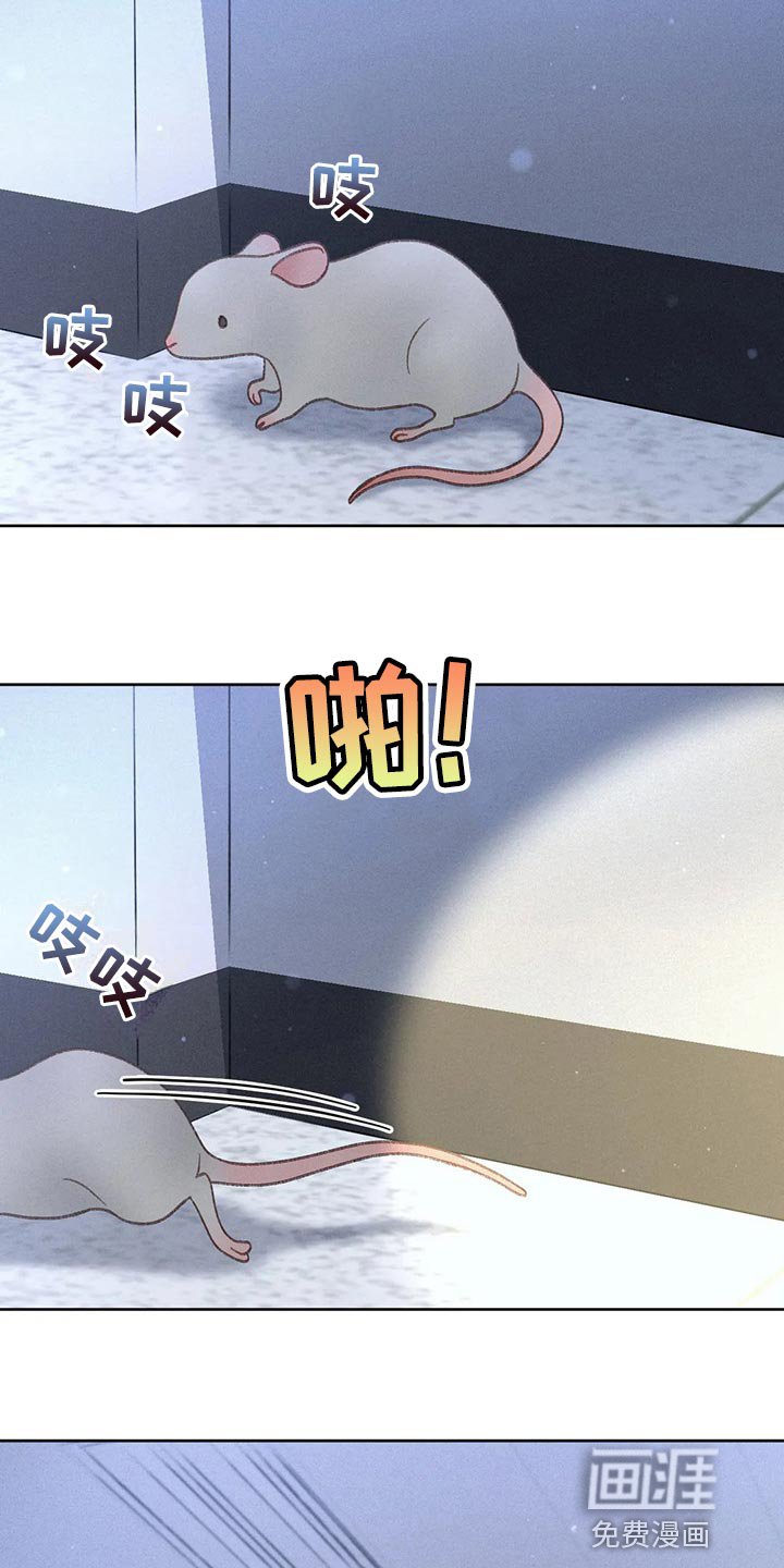 第47章：【第二季】我试试