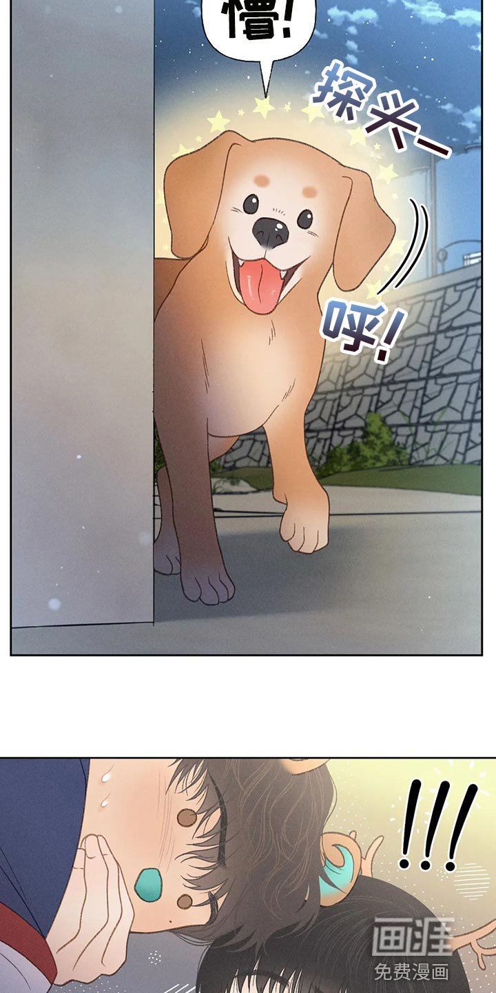 第56章：【第二季】被发现