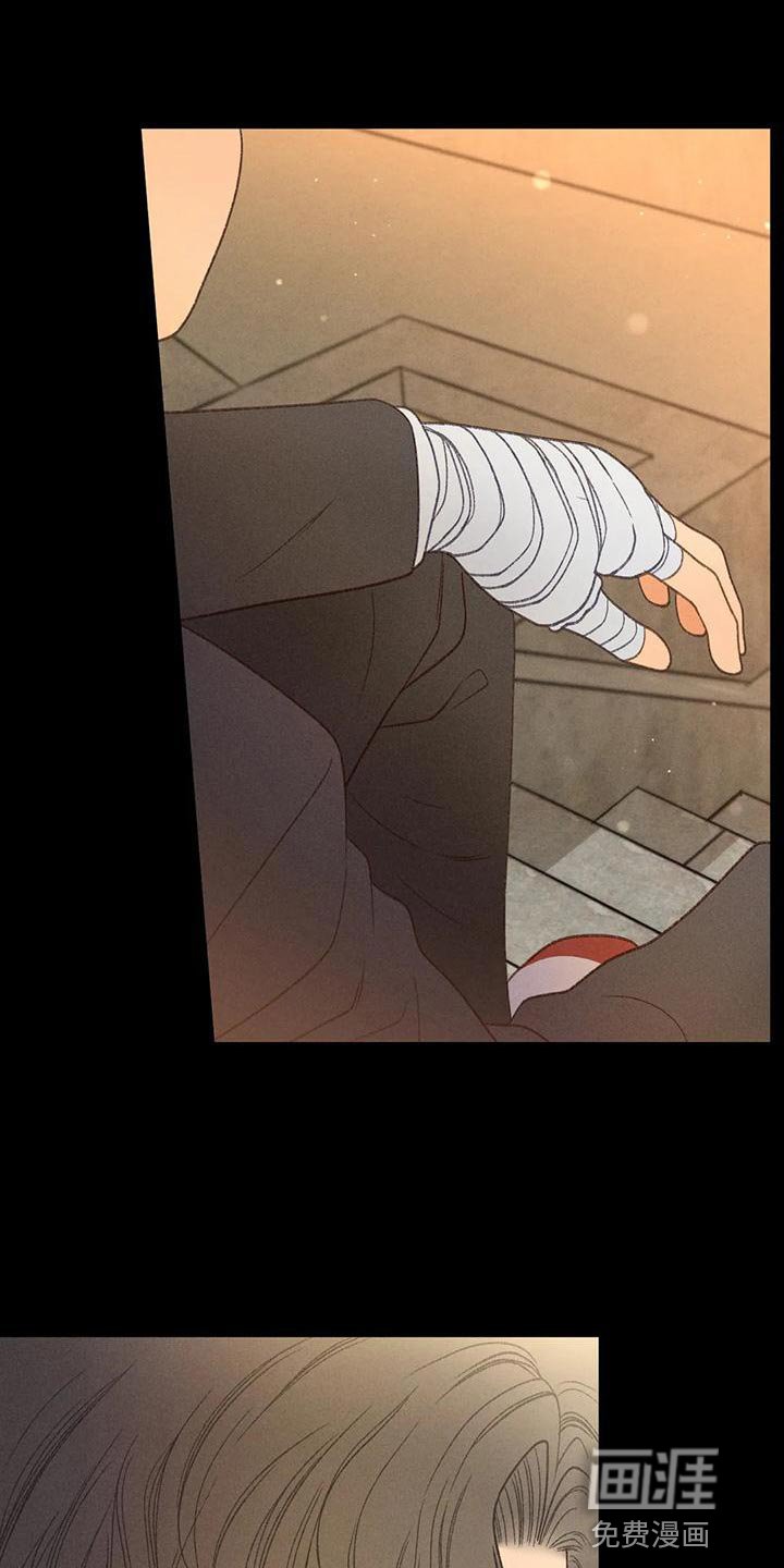 第61章：【第二季】你这个王八蛋