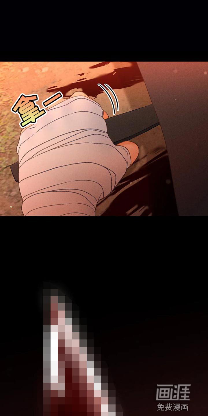 第65章：【第二季】我送你回家