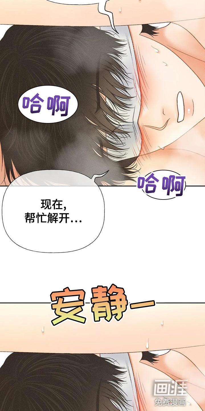 第68章：【第二季】头痛停不下来