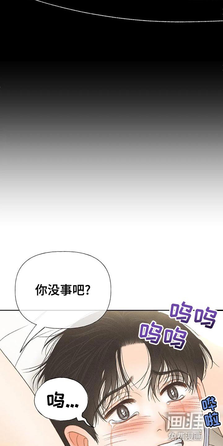 第68章：【第二季】头痛停不下来