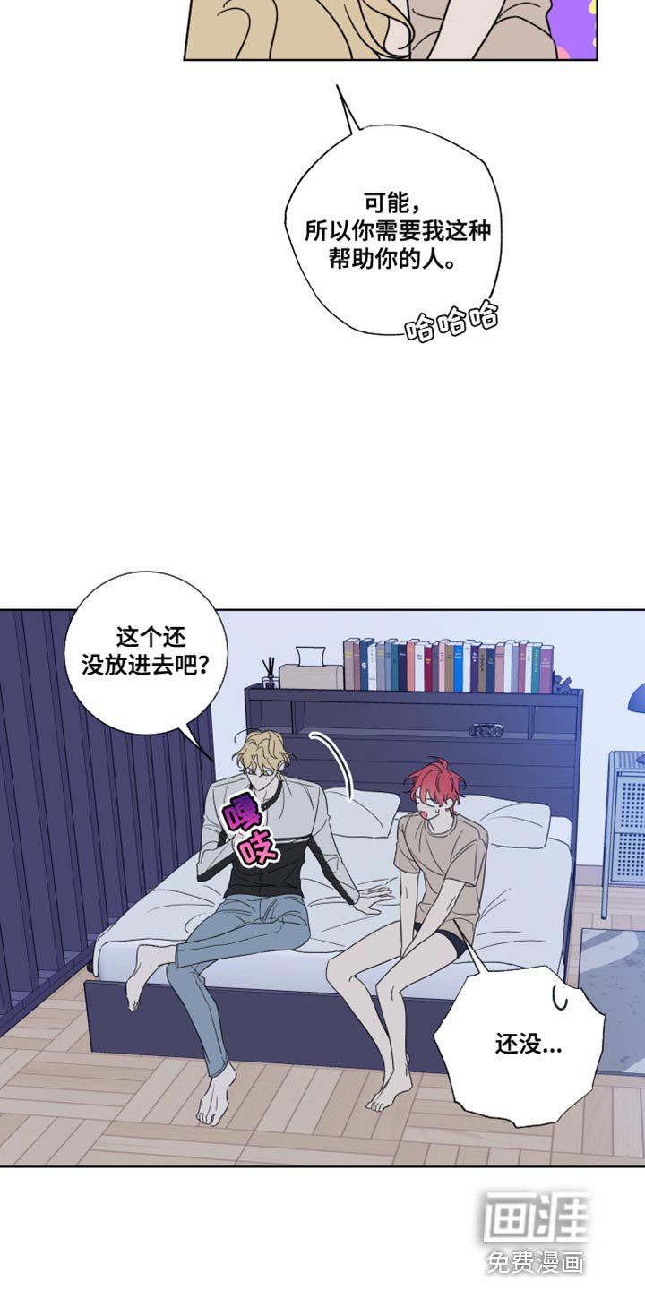 第15章：最有魅力的阿尔法