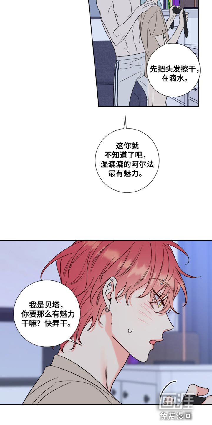 第15章：最有魅力的阿尔法