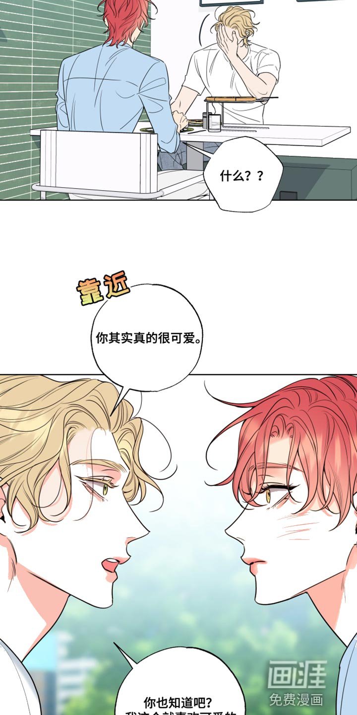 第25章：笨蛋