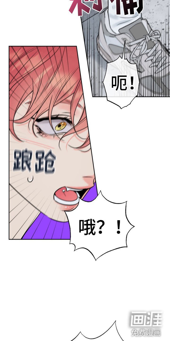 第27章：乐极生悲