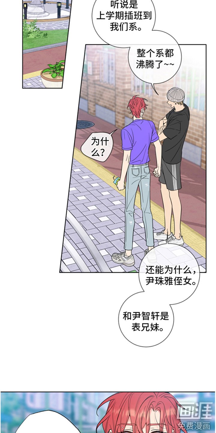 第4章：一见钟情
