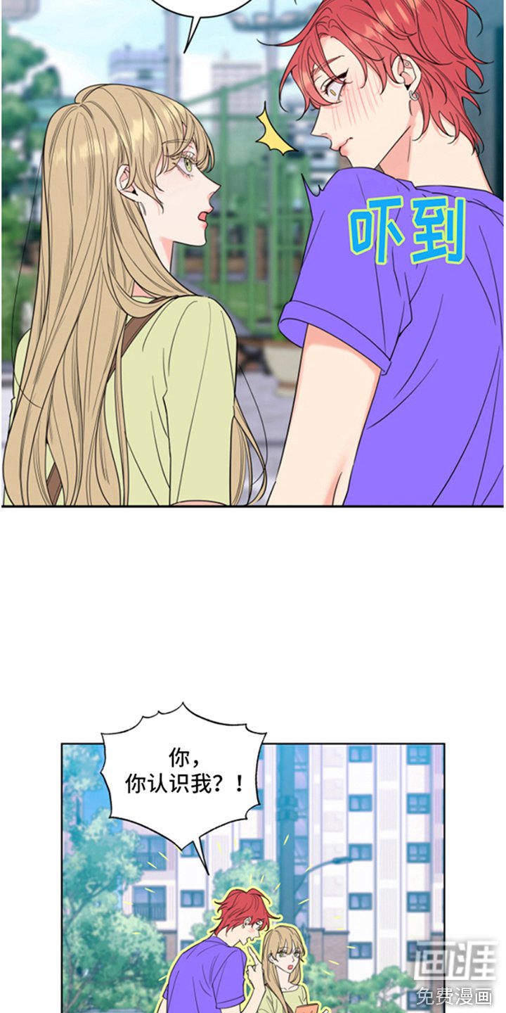 第4章：一见钟情