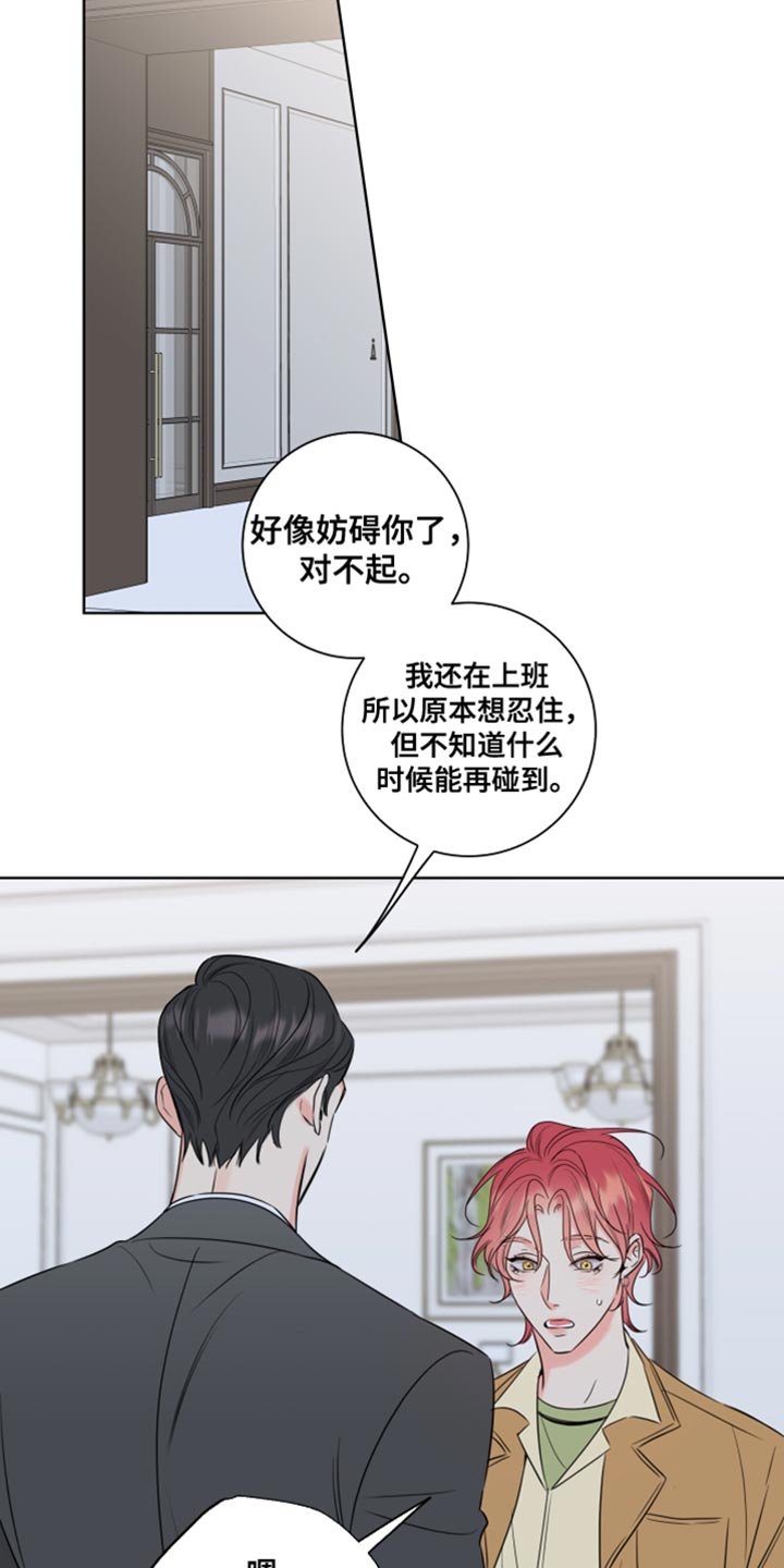 第47章：短暂交往过