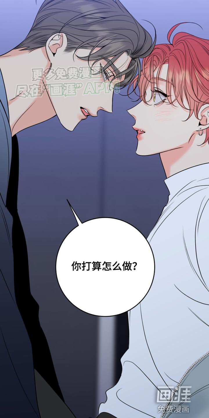 第51章：你打算怎么做