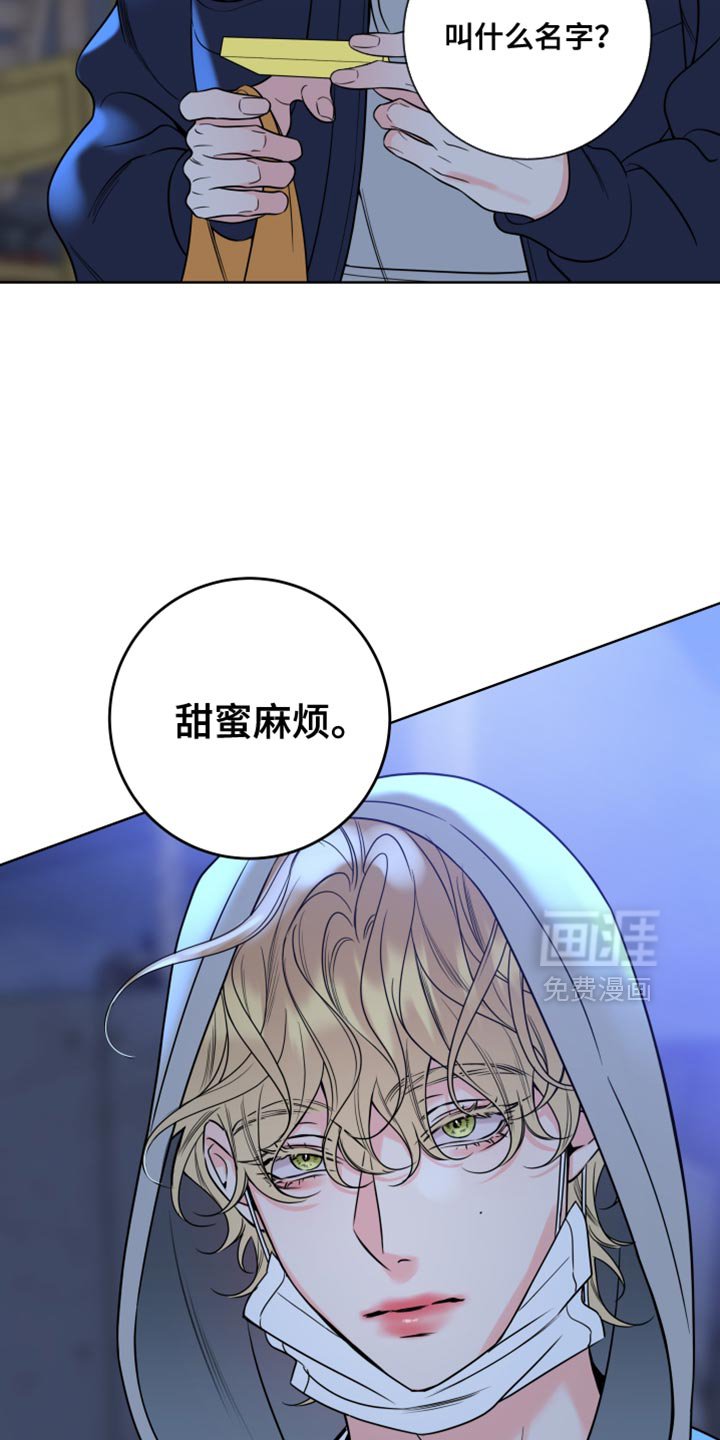 第64章：【第二季】甜蜜麻烦