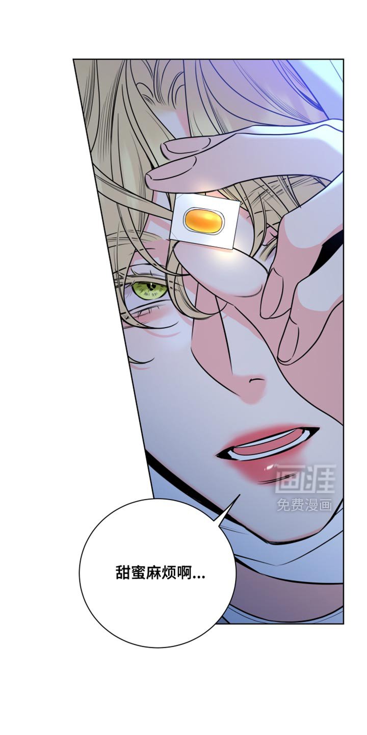 第64章：【第二季】甜蜜麻烦