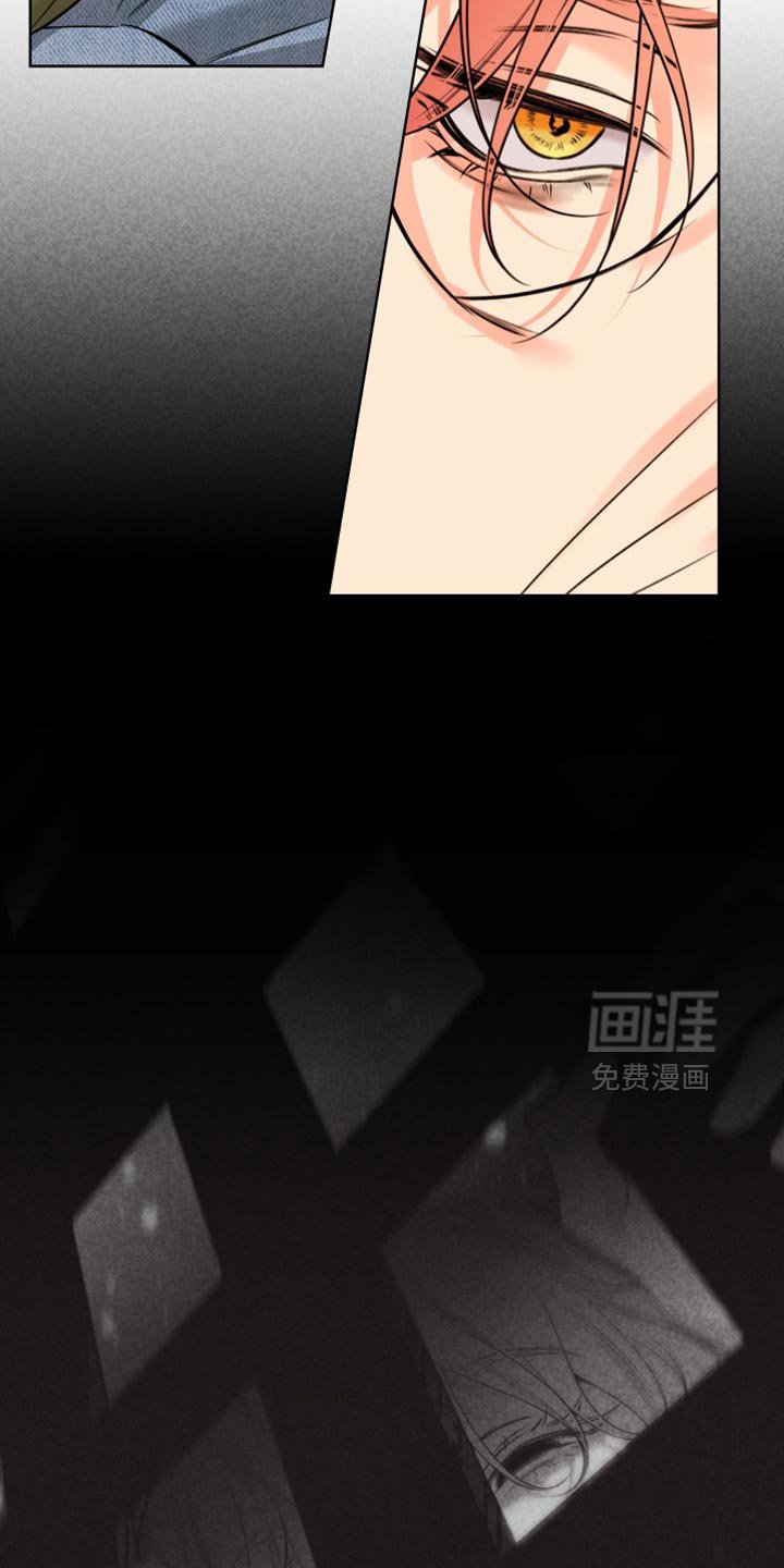 第79章：【第二季】幻觉