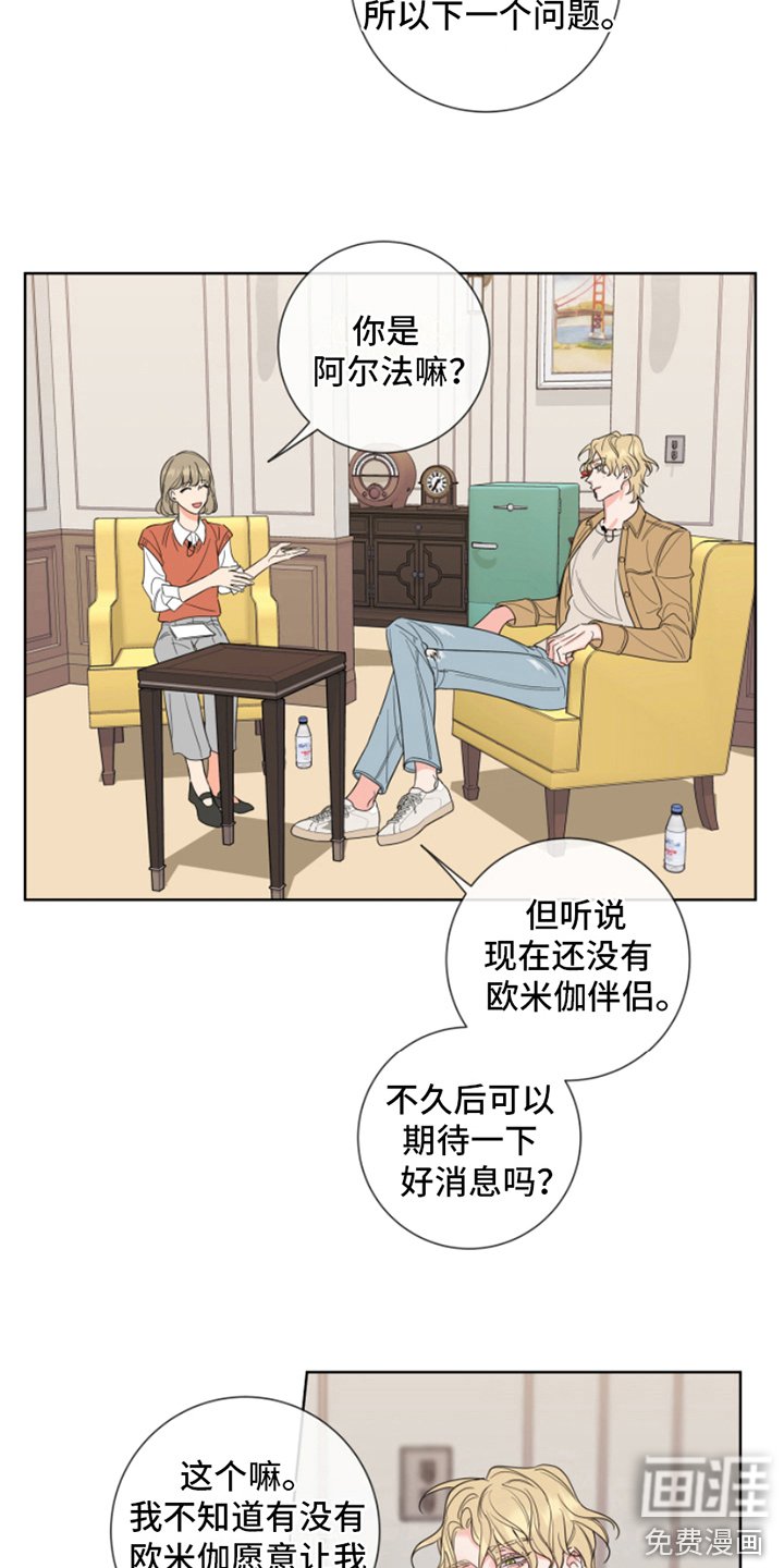 第8章：采访