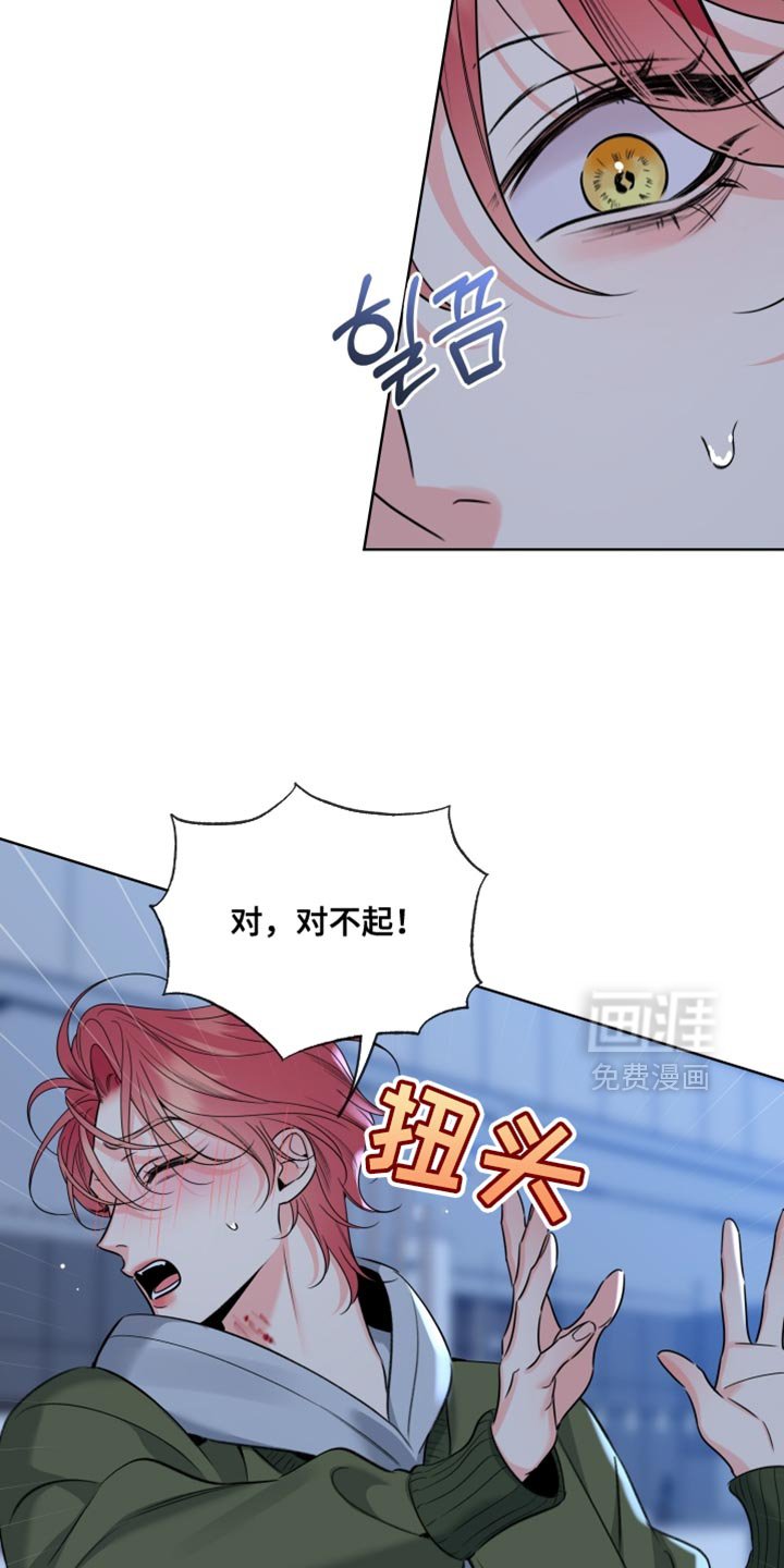 第81章：【第二季】在逃跑