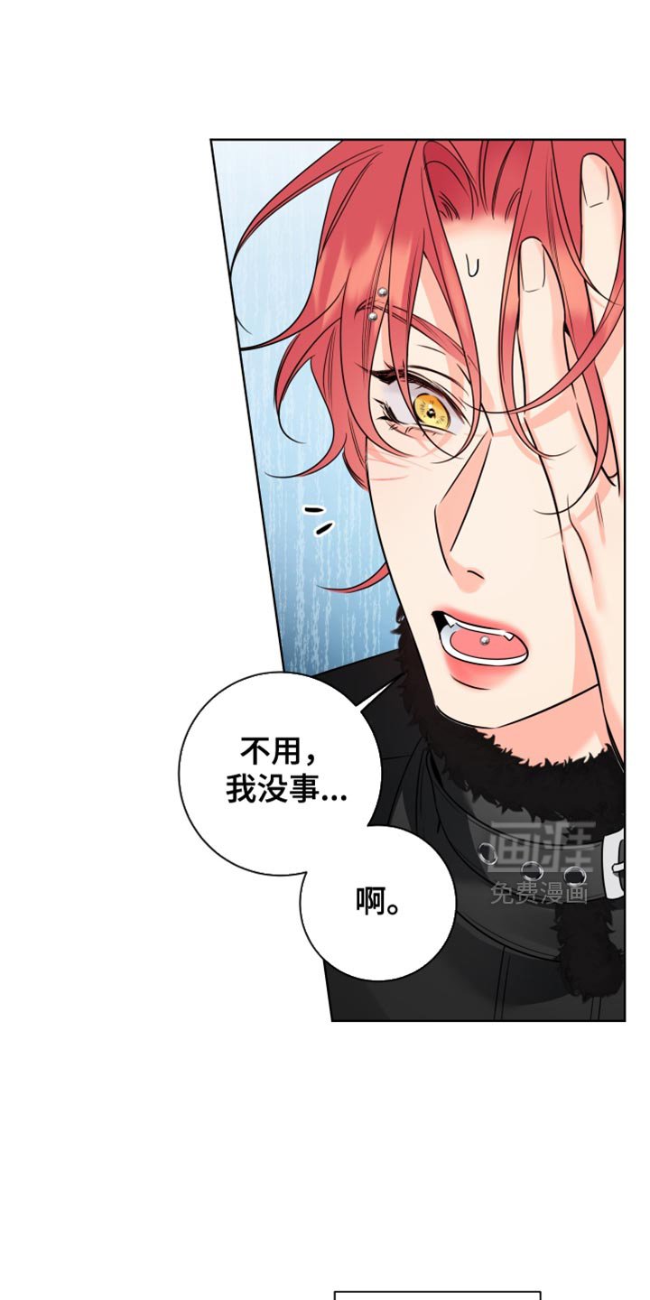 第96章：【第二季】只是有些关注
