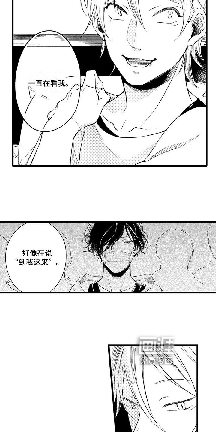 第17章：迷茫