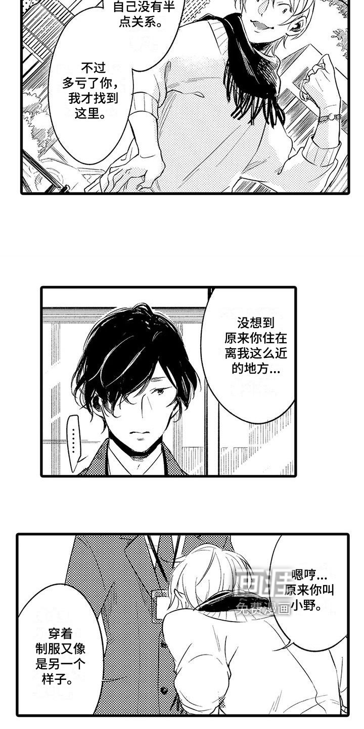 第19章：条件