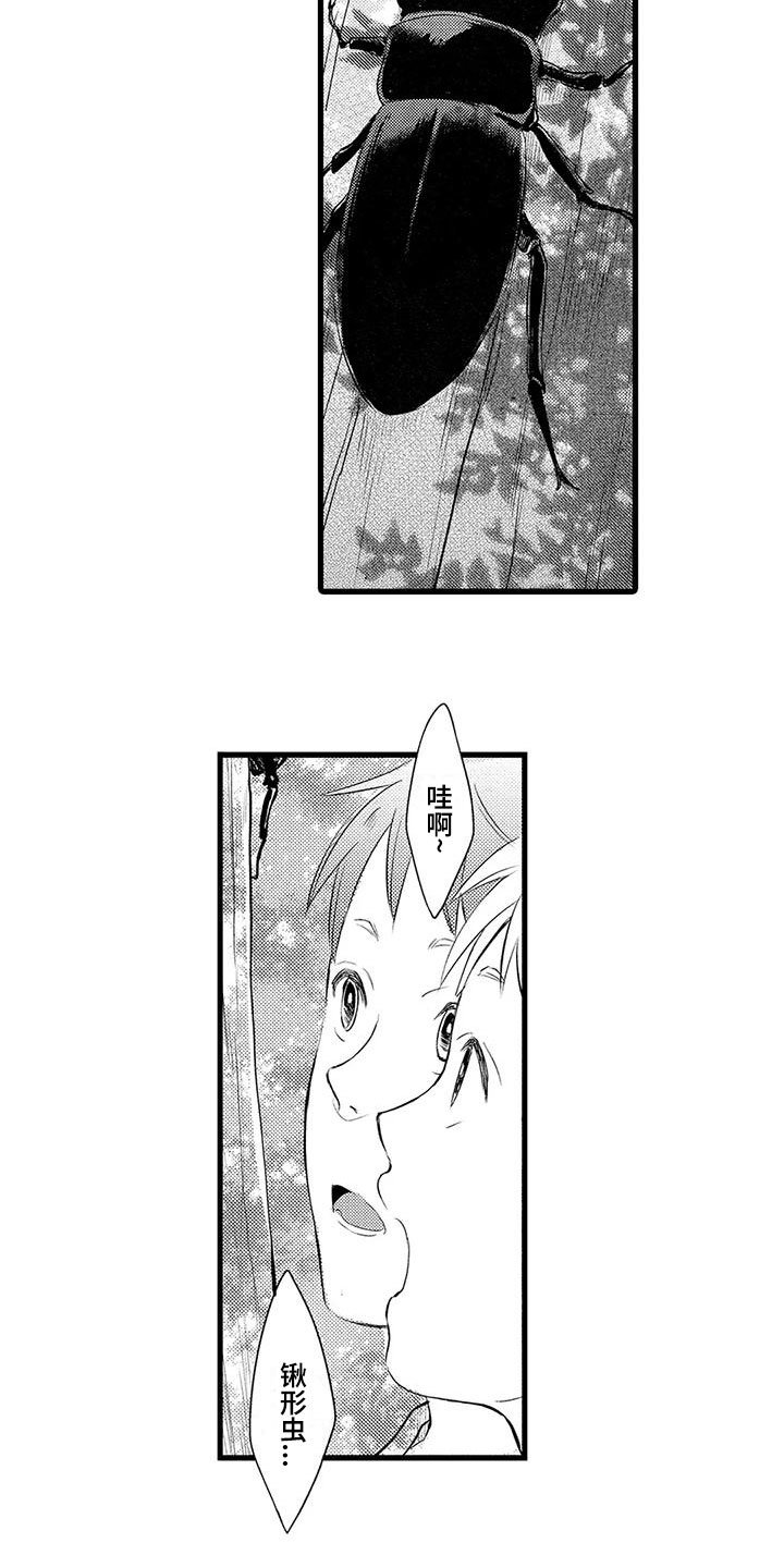 第2章：决定