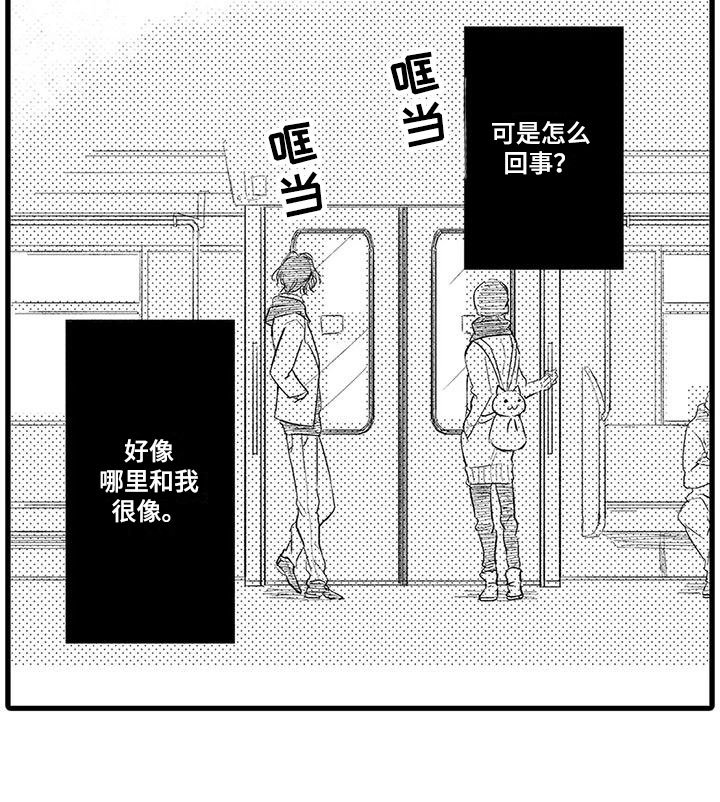 第20章：很像