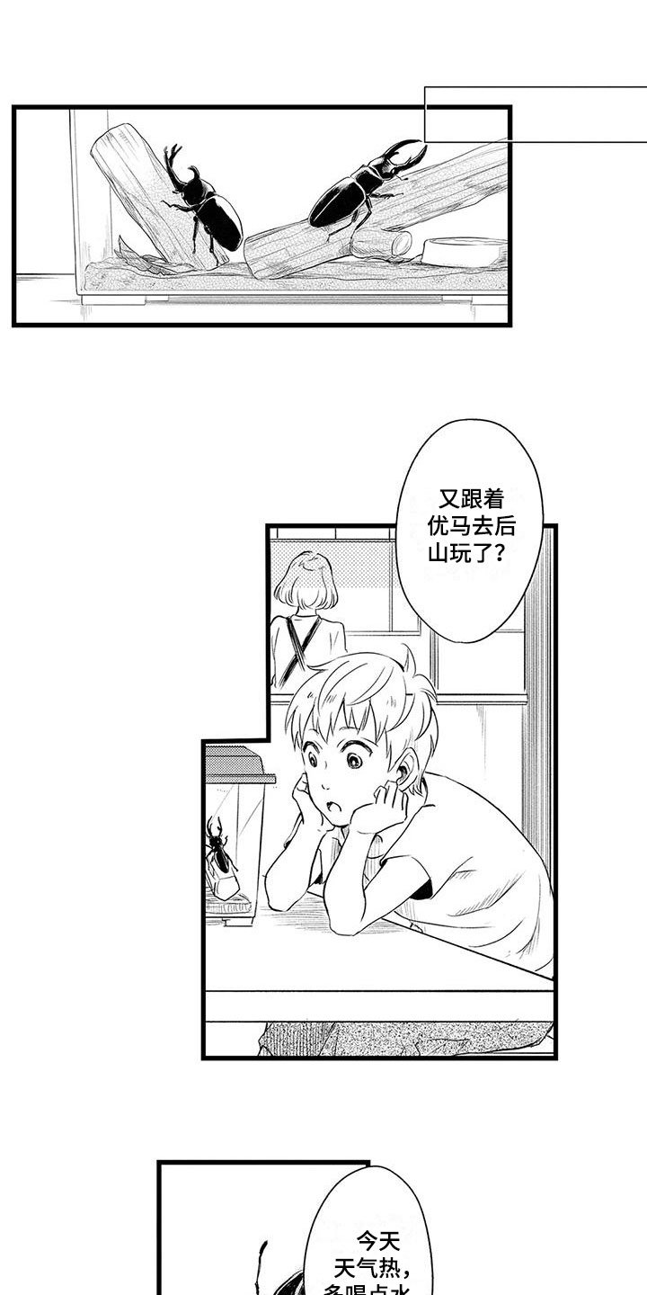 第3章：保护