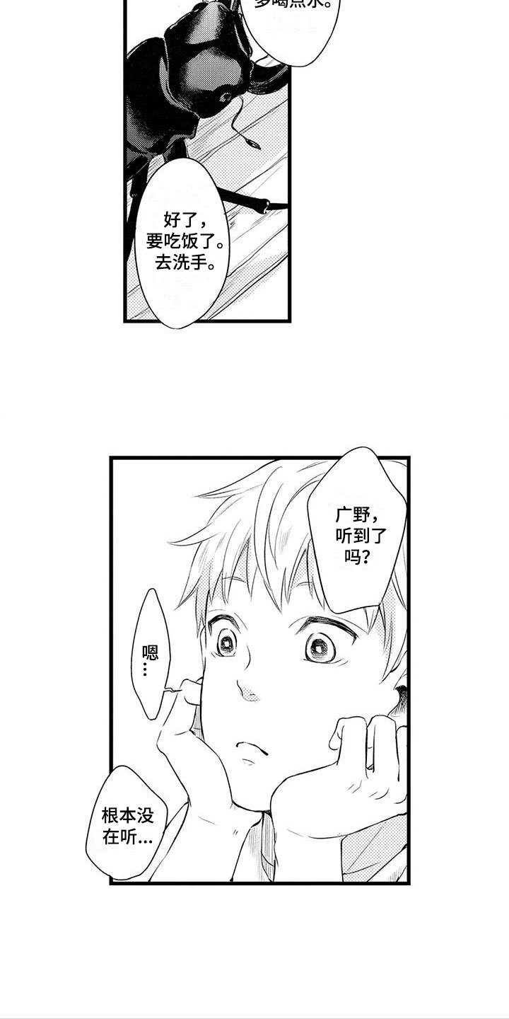 第3章：保护
