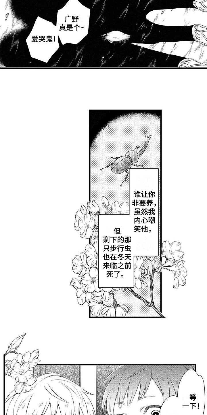 第3章：保护