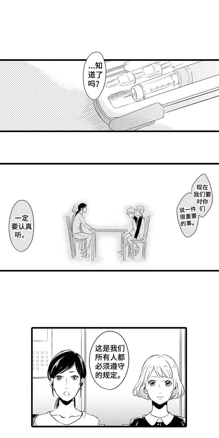 第3章：保护