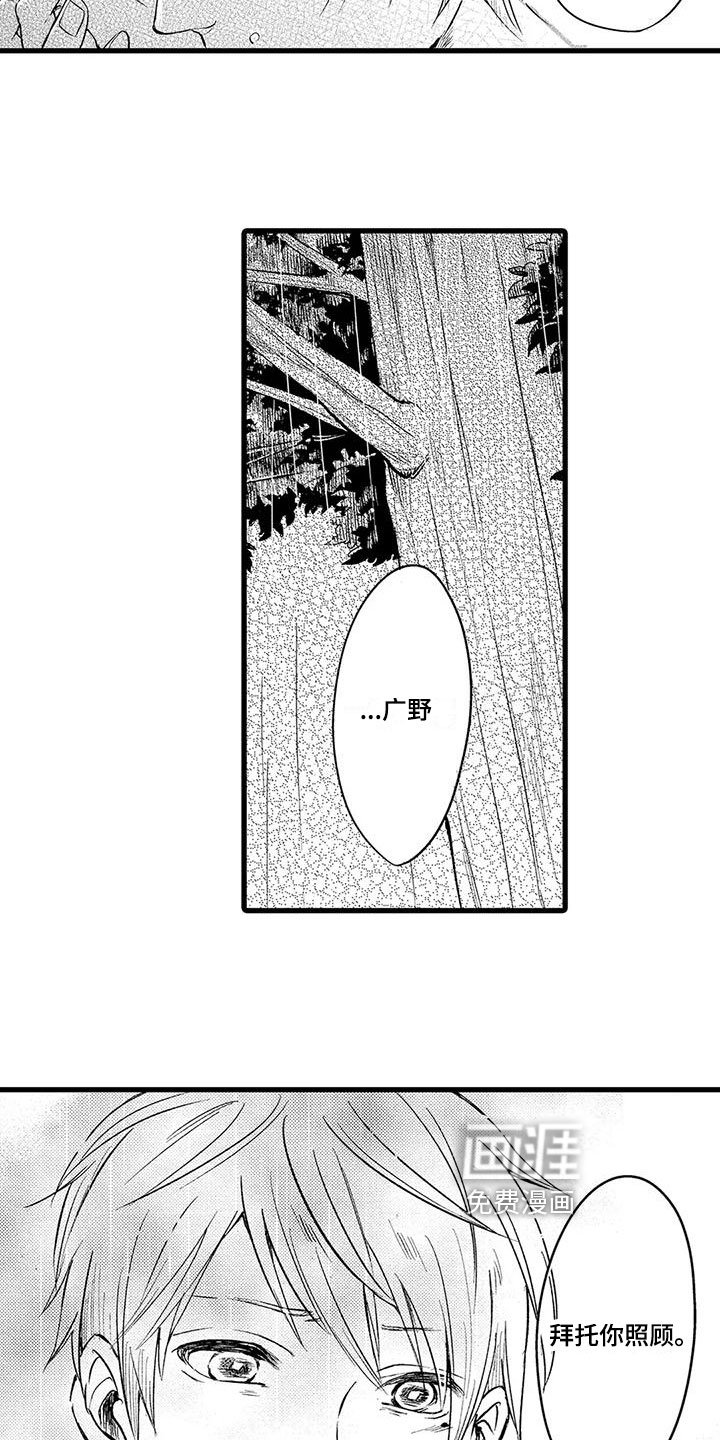 第9章：选择