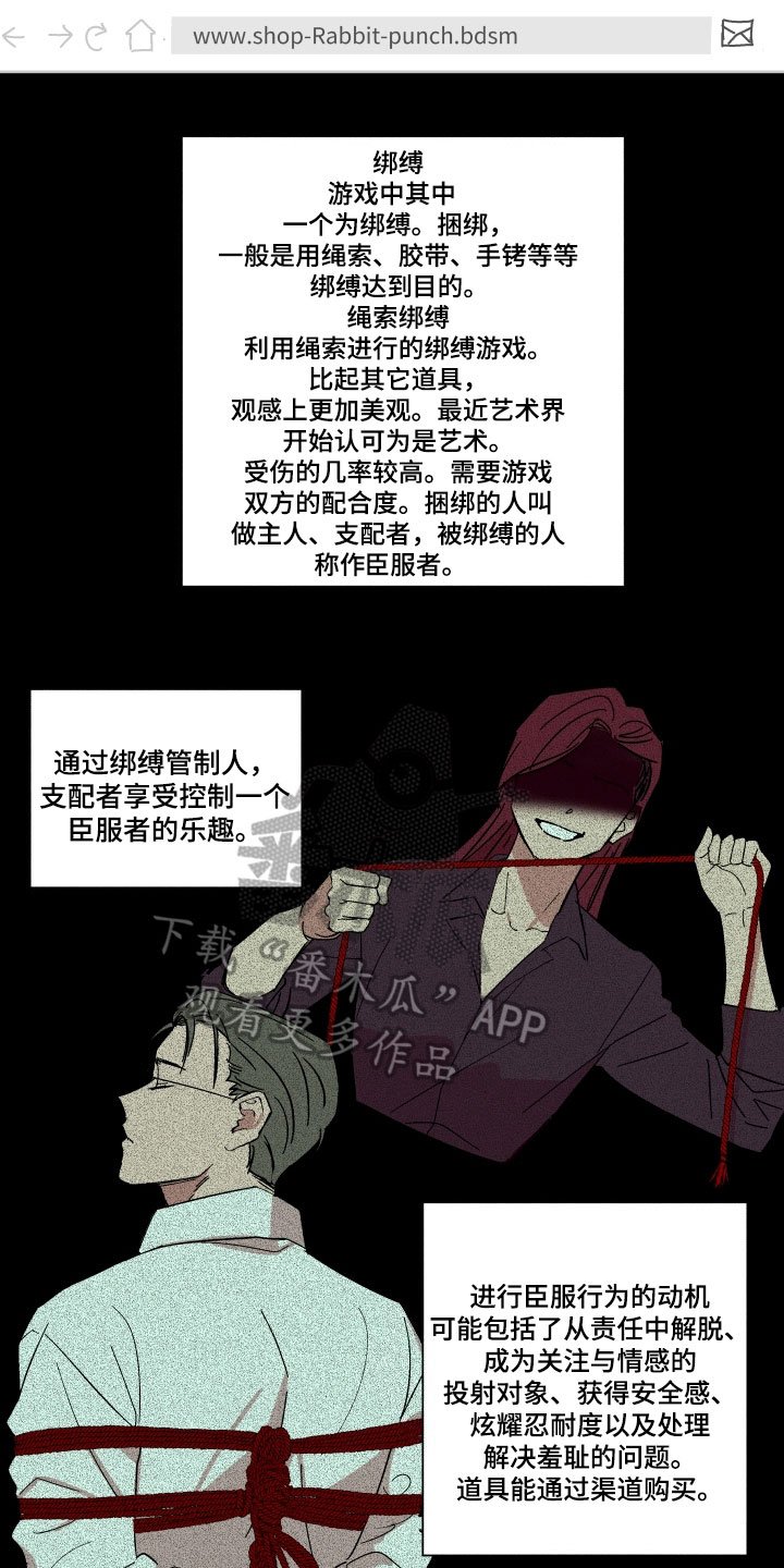 第4章：查询