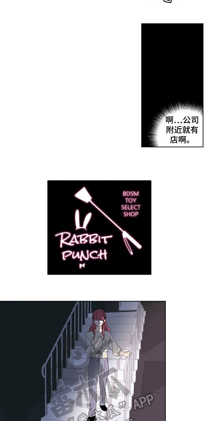 第4章：查询