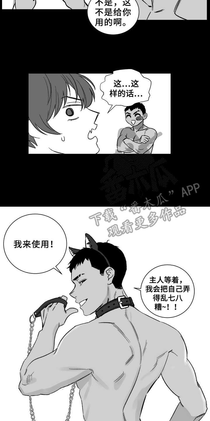 第6章：套装