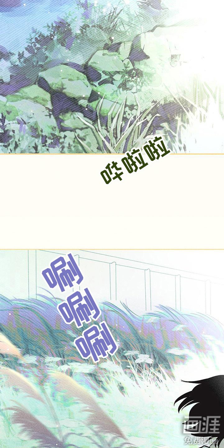 第12章：慢慢适应
