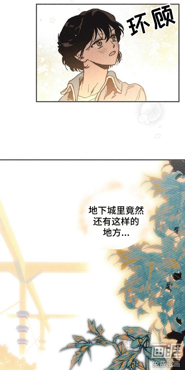 第14章：农林部