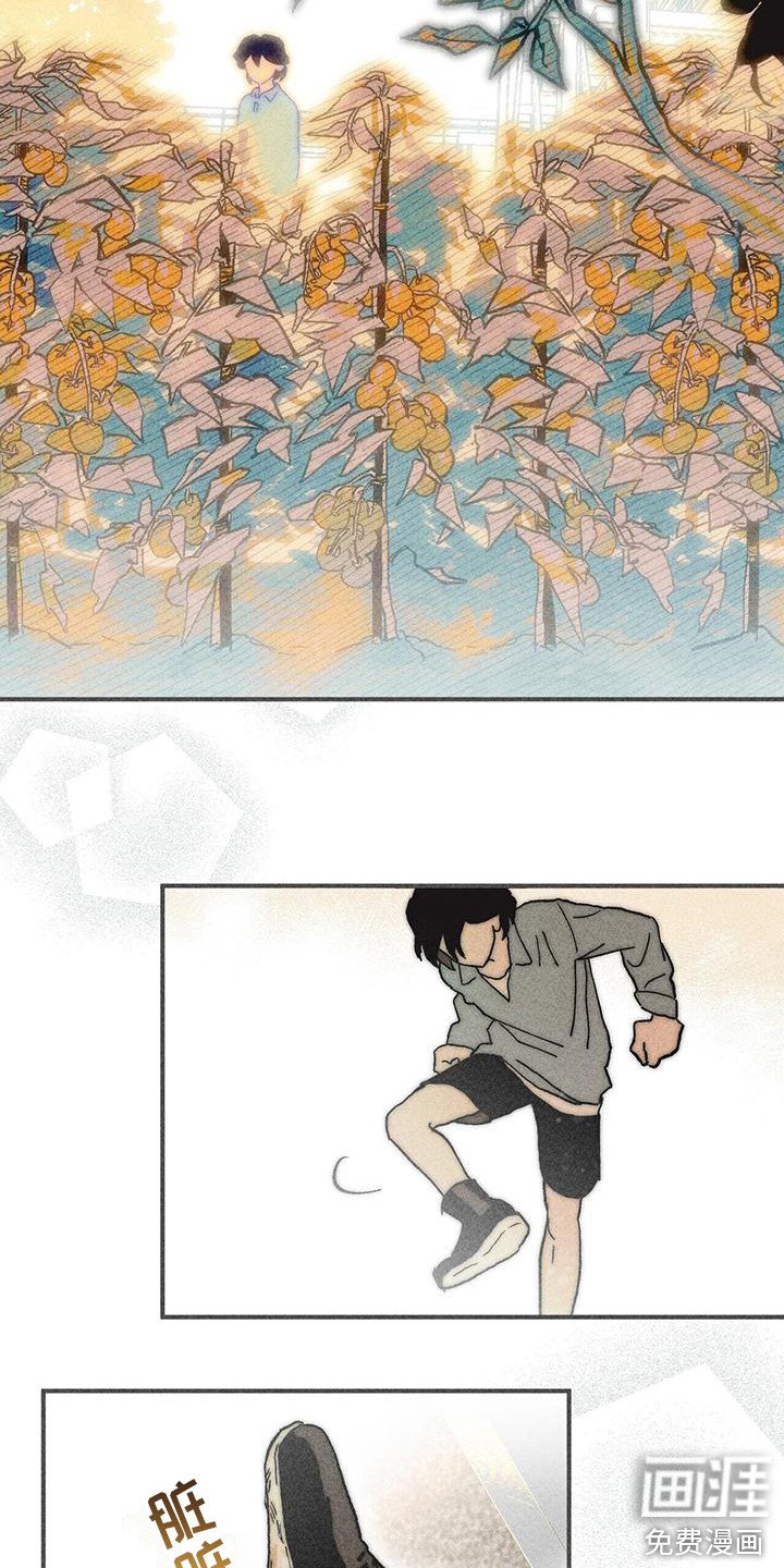 第14章：农林部
