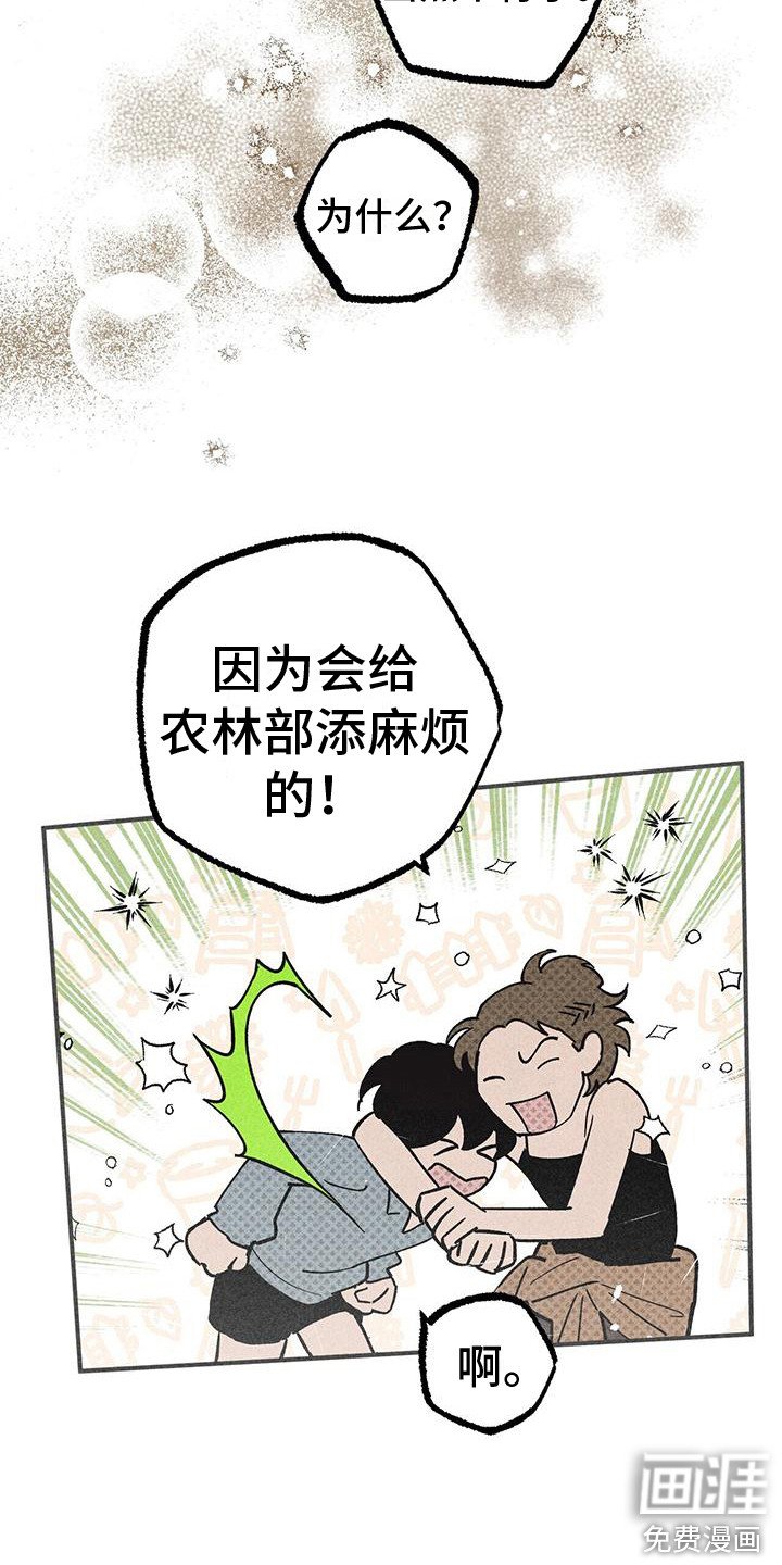 第15章：胡萝卜